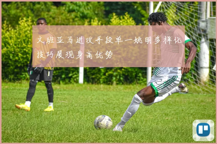 文班亚马进攻手段单一姚明多样化技巧展现身高优势