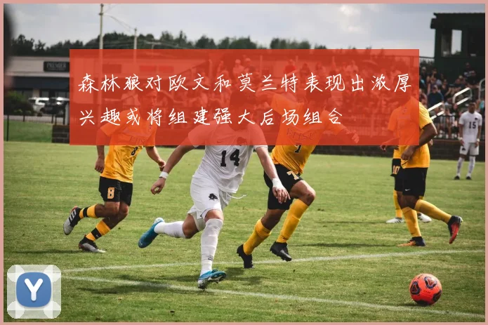 森林狼对欧文和莫兰特表现出浓厚兴趣或将组建强大后场组合